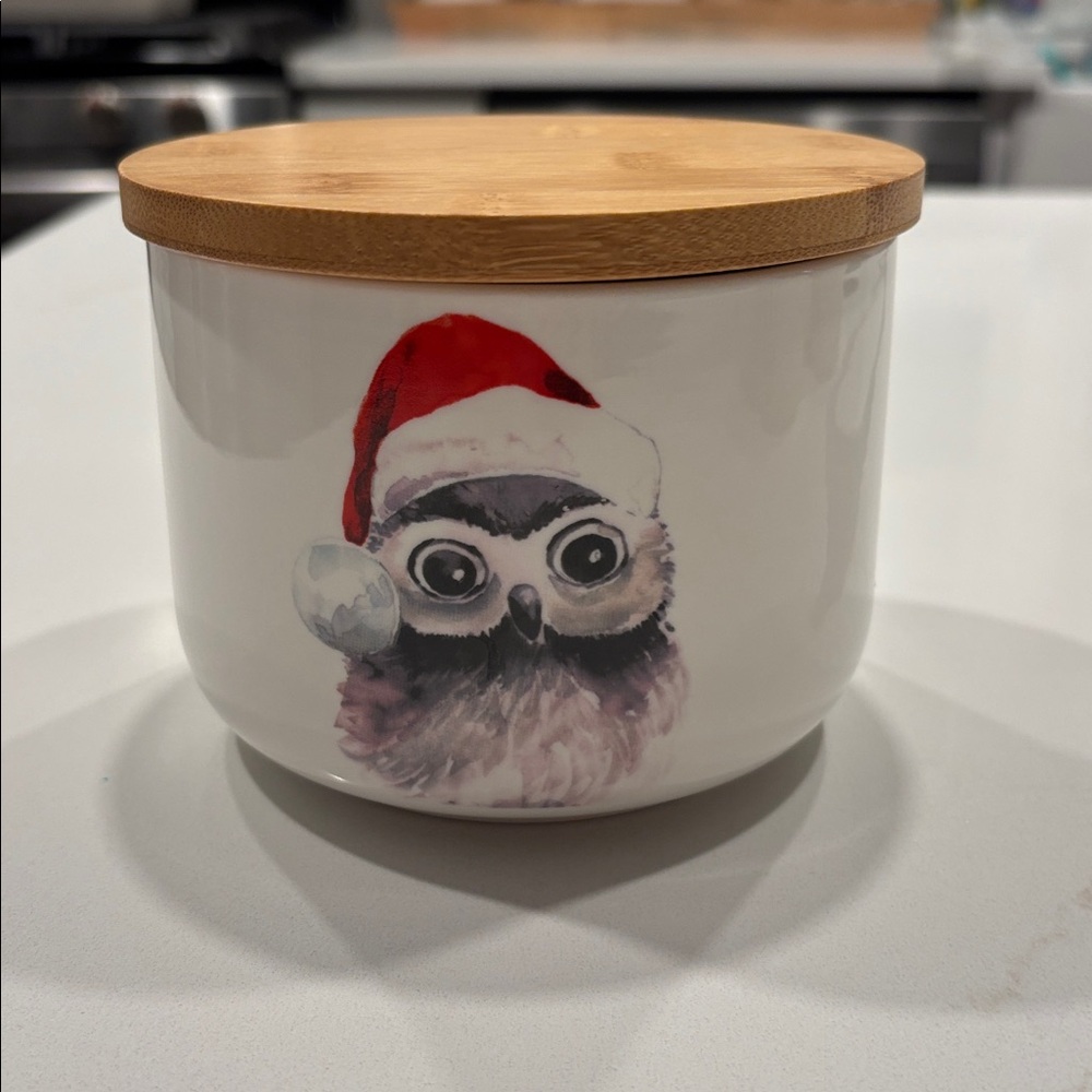 Owl Christmas Ceramic Jar with Wooden Lid… NWOT.. 5x6 Inches